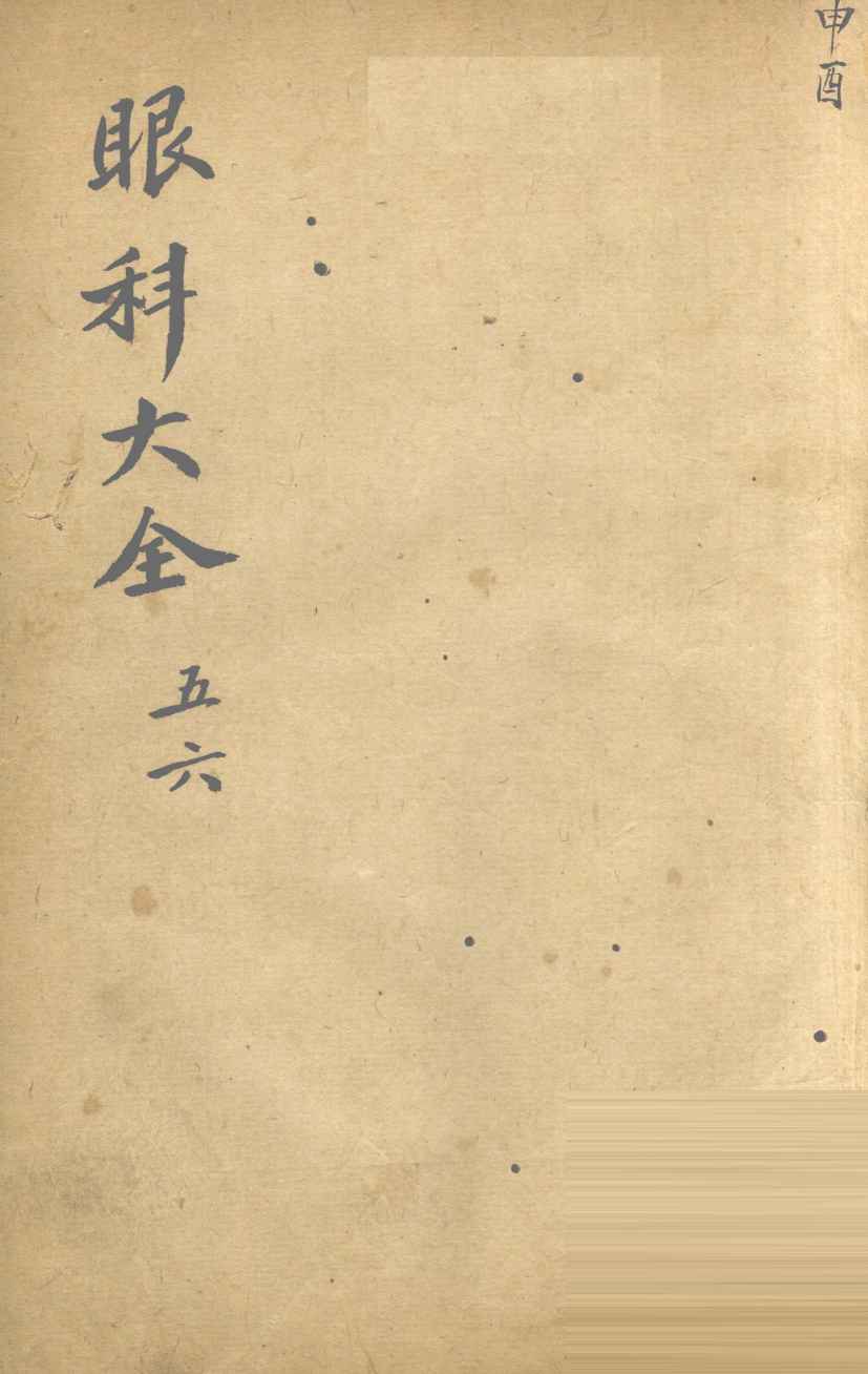 眼科大全  卷5、6